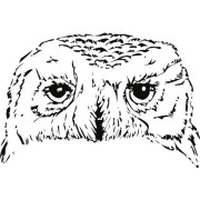 Snow Owl Designs